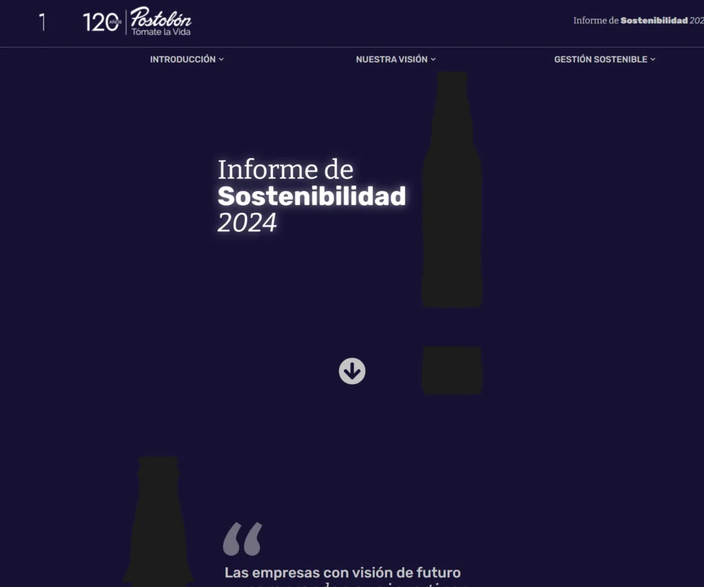Informe Integrado 2024